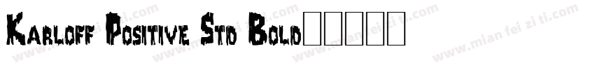 Karloff Positive Std Bold字体转换